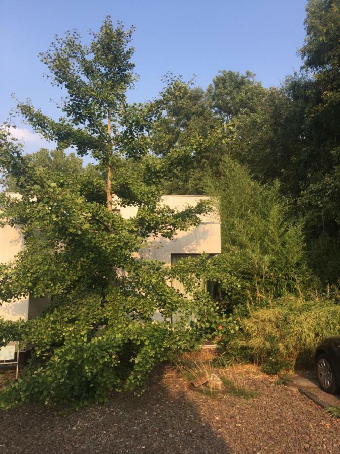 Suite Am Stift ! Wunstorf Exterior photo